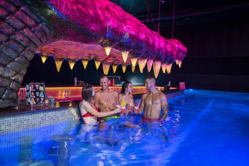 Crocodile cave bar